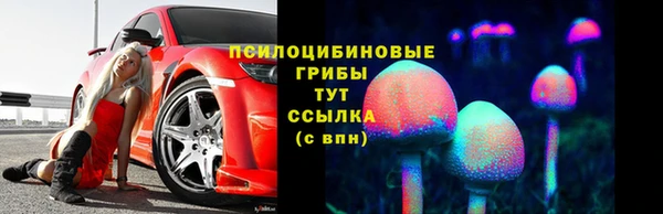 стаф Абаза