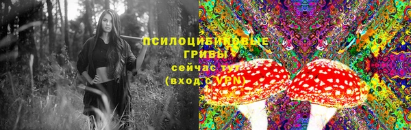 твердый Алексеевка
