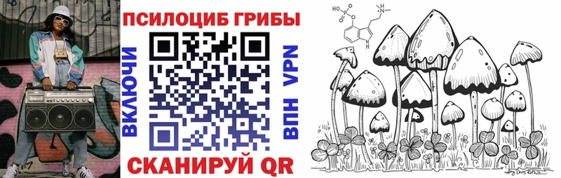 купить   Вилючинск  Псилоцибиновые грибы ЛСД 
